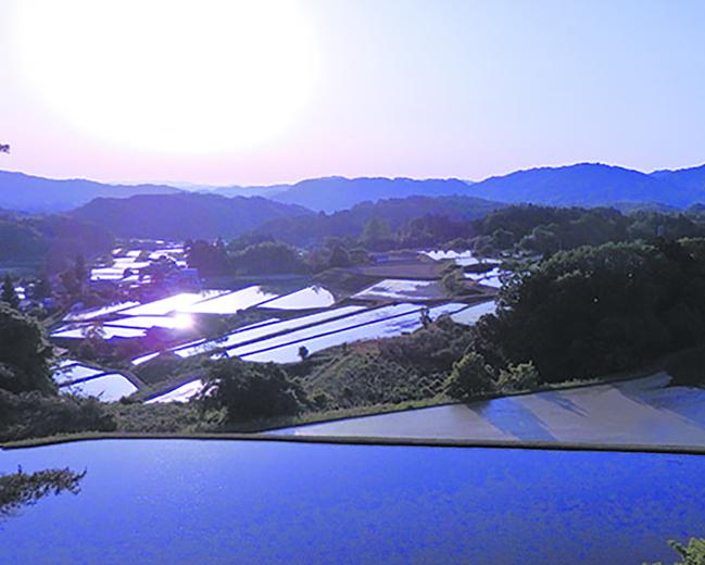 棚田