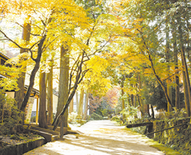 あめつち-絲原家住宅・庭園／絲原記念館