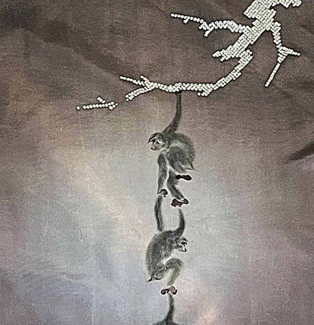 ★菊華と猿