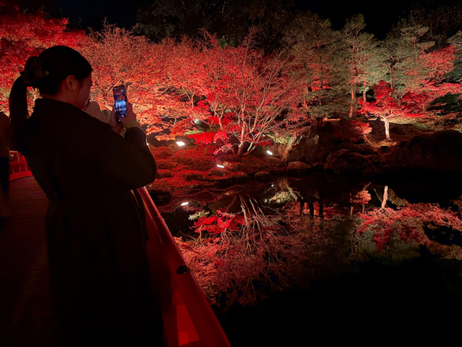Rライトアップされた紅葉を観賞する来場者‖松江市八束町波入、由志園20251124