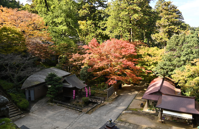 R紅葉の名所としても知られる清水寺境内‖2025年11月、安来市清水町