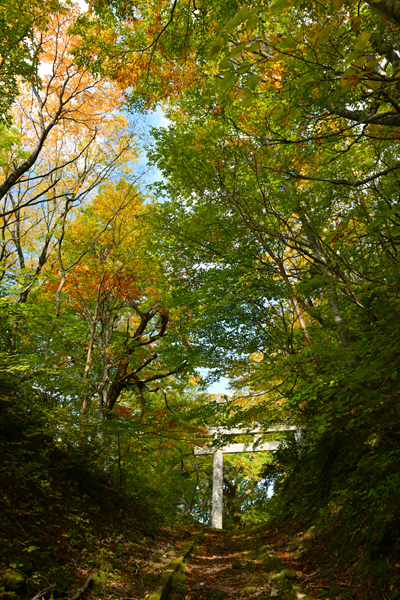 R秋色に色付き始めた大山山麓の木々‖鳥取県大山町大山、石の大鳥居20251105