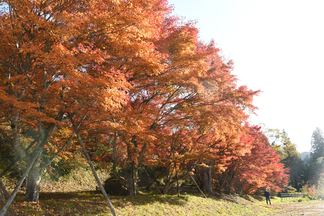 R滝山公園(鳥取県日野町中菅/佐貫公哉撮影)20231102