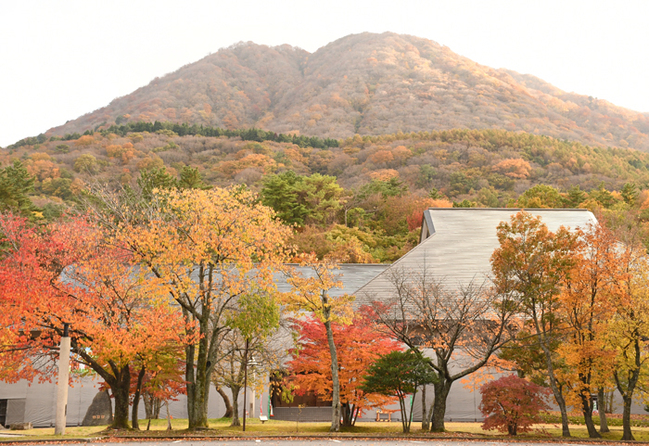 R島根県立三瓶自然館サヒメル周辺で紅葉した木々と三瓶山‖大田市三瓶町20251110