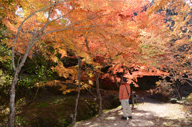 R絲原記念館(島根県奥出雲町大谷)/山本泰平撮影20221109