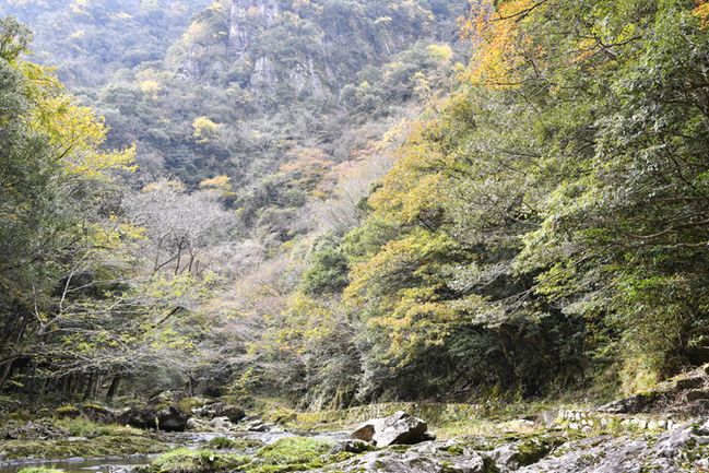 R千丈渓の千畳敷(江津市桜江町江尾/村上栄太郎撮影)20231116