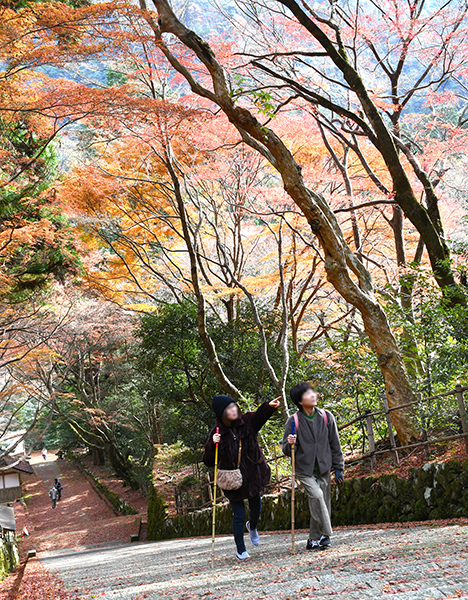 WEB_鰐淵寺2026